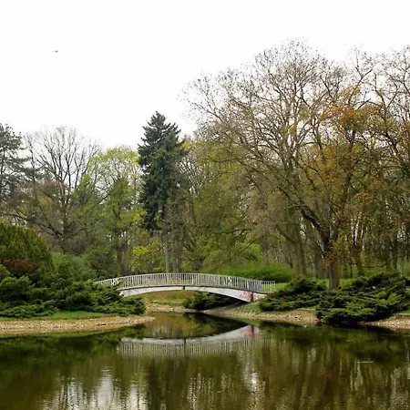 Lumina With Parking Near Atlas Arena